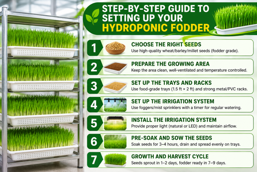 Step-by-Step Guide to Setting Up Your Hydroponic Fodder System