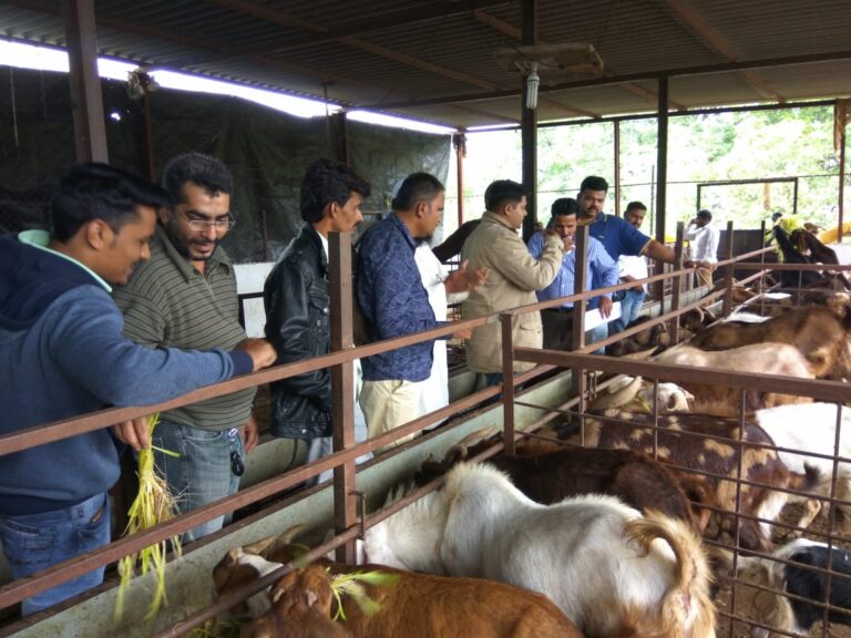 Practical Training Session 1